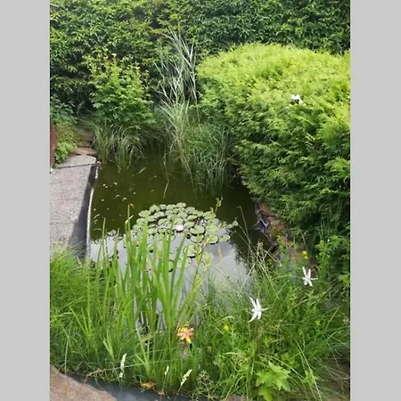 Haus Russold - Fewo22 In Entspannter Atmosphaere - Gruener Oberort