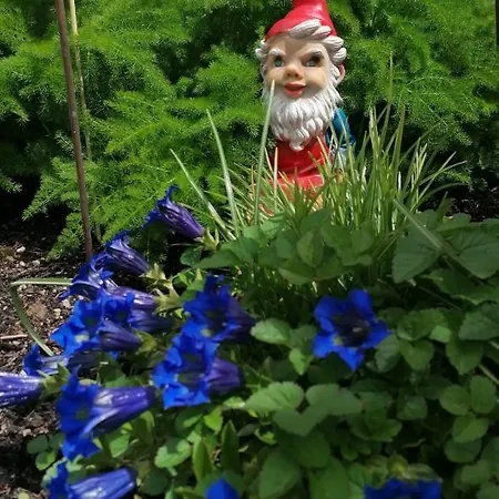 Haus Russold - Fewo22 In Entspannter Atmosphaere - Gruener * Oberort