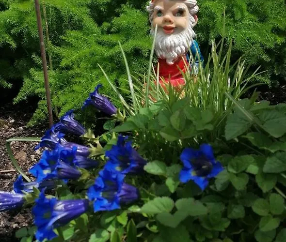 Haus Russold - Fewo22 In Entspannter Atmosphaere - Gruener * Oberort